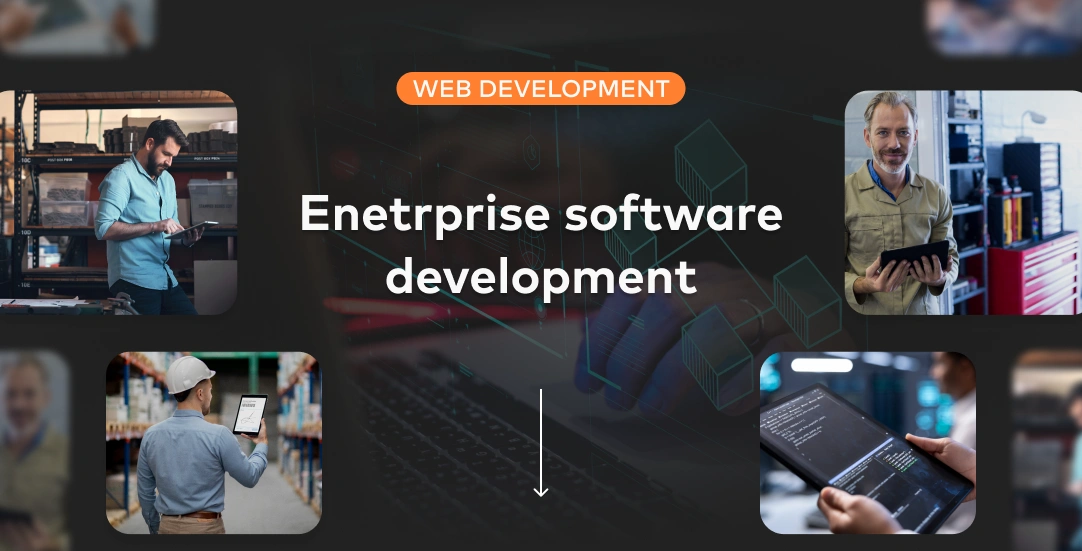 Enterprise software development 